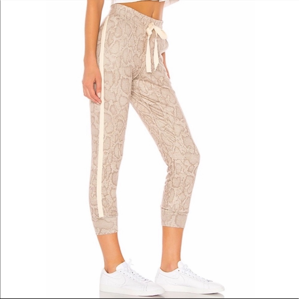 Sundry Snake Print Jogger Size Xsmall - image 3